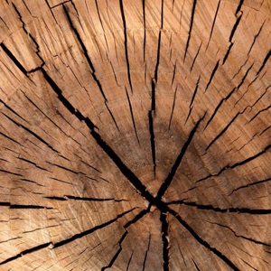 سوخت روی چوب | صنایع دستی آنارات